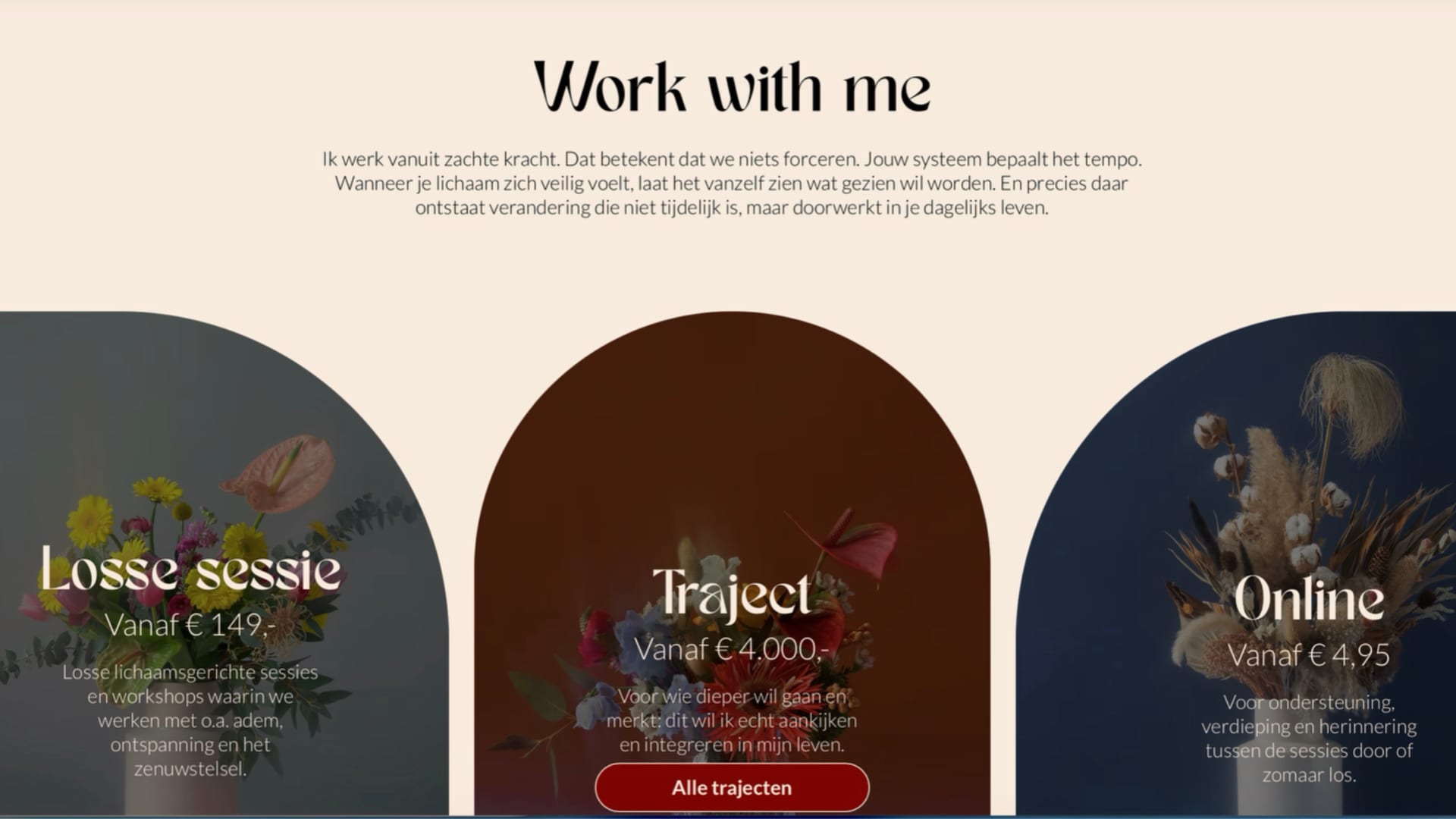 Screenshot van een websitepagina met aanbod en trajecten